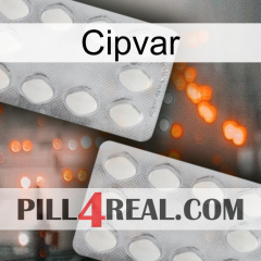 Cipvar 17